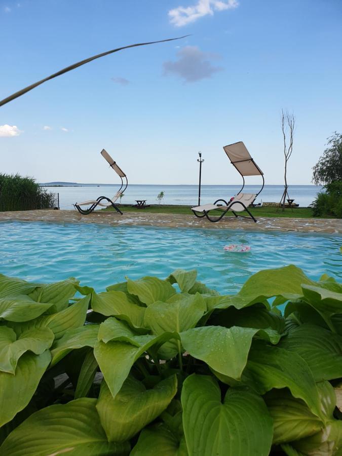 Poarta Apelor Hotel Sarichioi Exterior photo